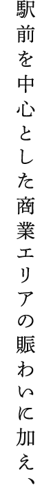 駅前を中心とした商業エリアの賑わいに加え、