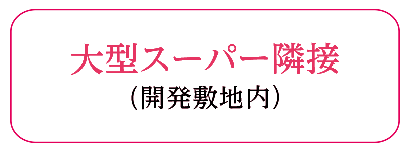 大型スーパー隣接（開発敷地内）