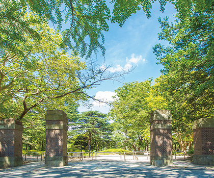 松戸中央公園