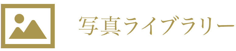 写真ライブラリー