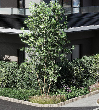 外観完成予想CG