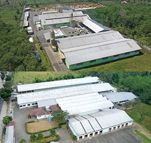 原料生産・調達／原材料・製品製造