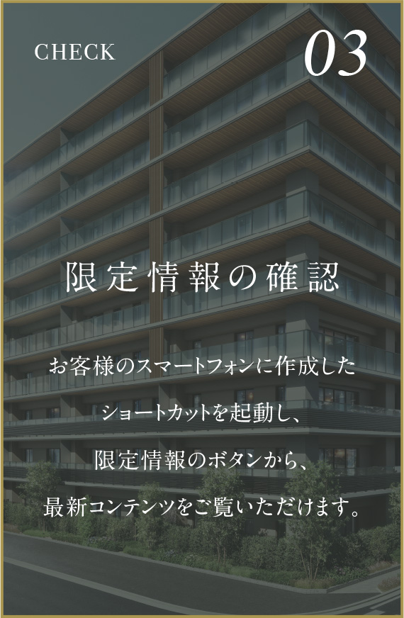 03限定情報の確認