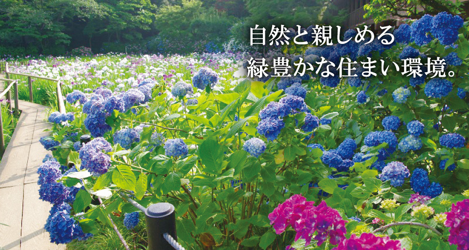 本土寺（自転車10分・約2,300m）