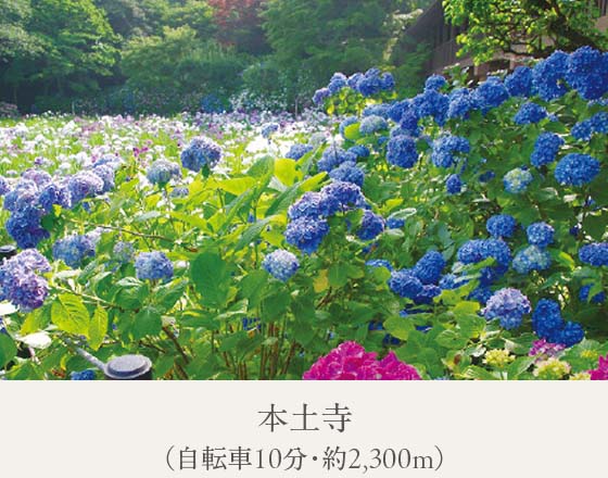 本土寺