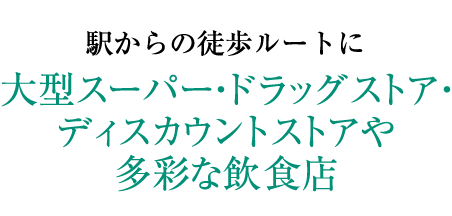 駅からの徒歩ルートに大型スーパー・ドラッグストア・ディスカウントストアや多彩な飲食店