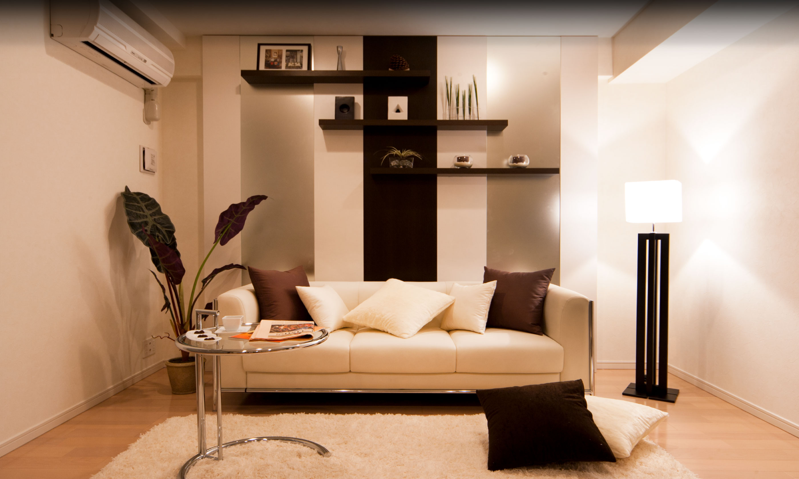 image photo