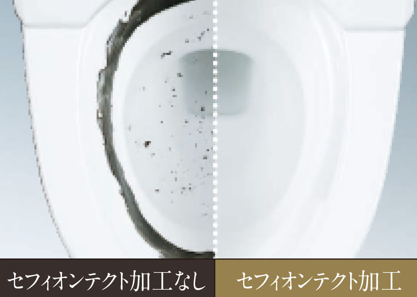セフィオンテクト