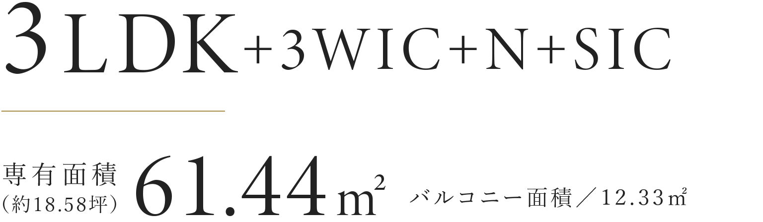 H type