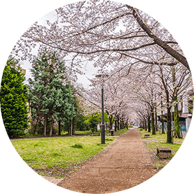 レジデンス オーベル戸田公園レジデンス 駅徒歩6分の新築マンション レジデンス オーベル戸田公園レジデンス 駅徒歩6分の新築マンション