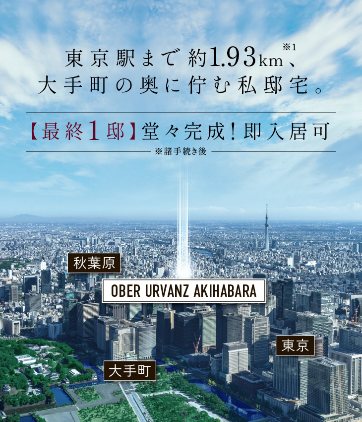 航空写真