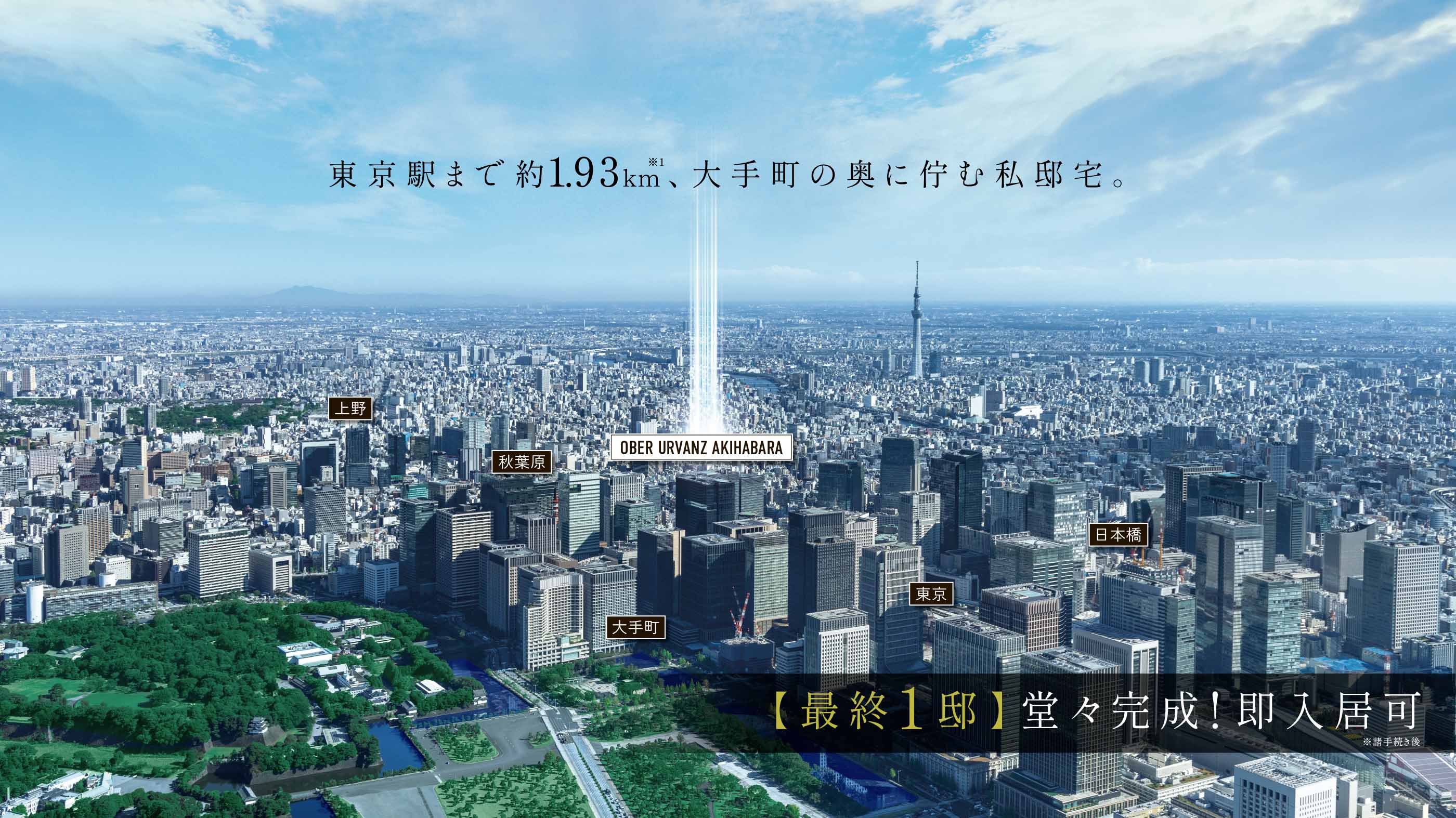 航空写真