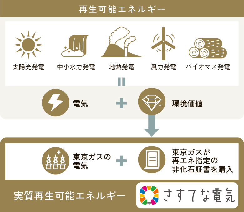 実質再生可能エネルギー さすてな電気